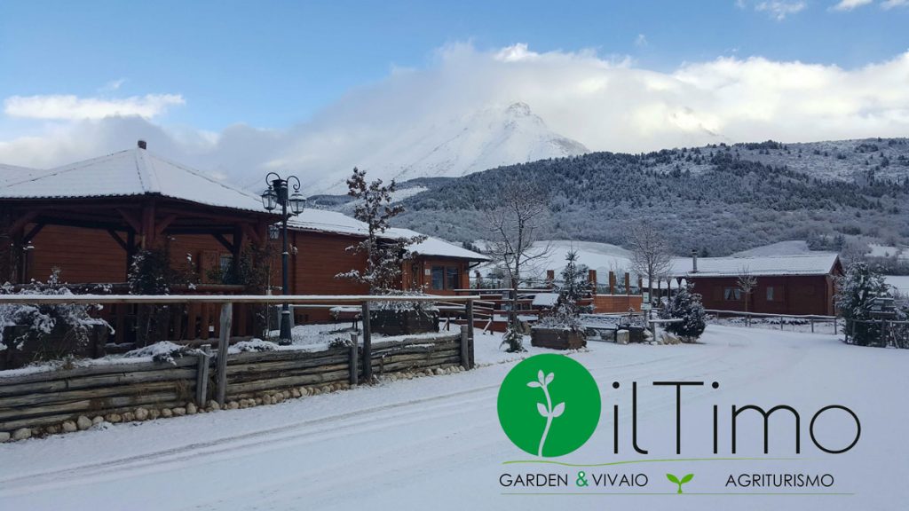 Offerte Neve | Settimana bianca | Abruzzo Neve | Chalet in legno